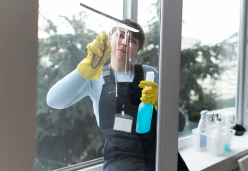 Nettoyage de vitres intérieures et extérieures à Grosbreuil